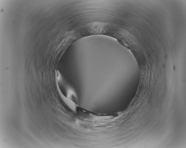 X0000060240035200511181315