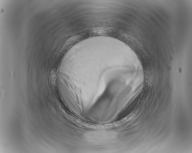 X0000060240036200511181315