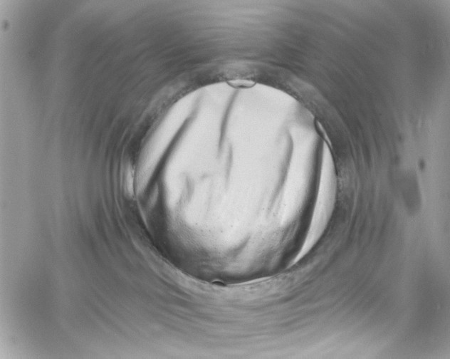 X0000060240046200511181314