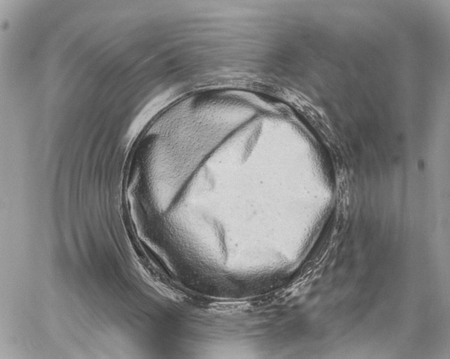 X0000060240051200511181314