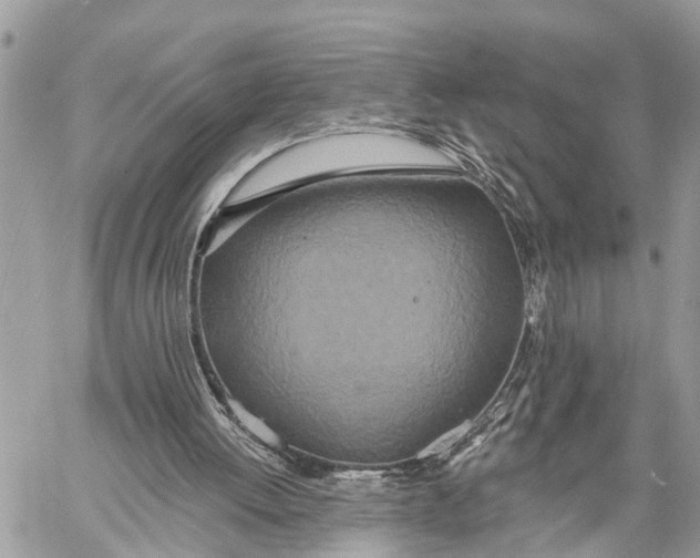 X0000060240052200511181314