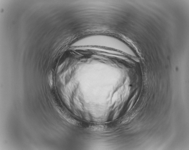 X0000060240069200511181314