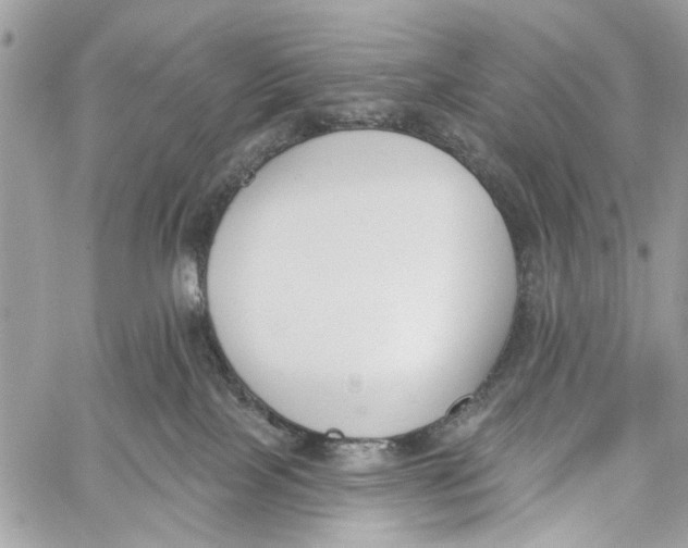 X0000060240089200511181314
