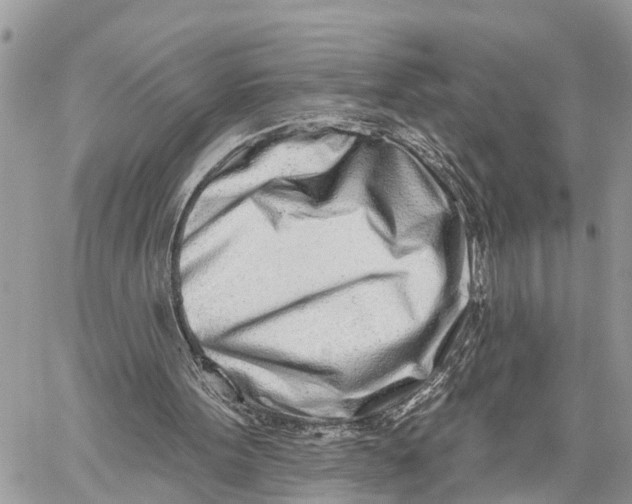 X0000060240099200511181314
