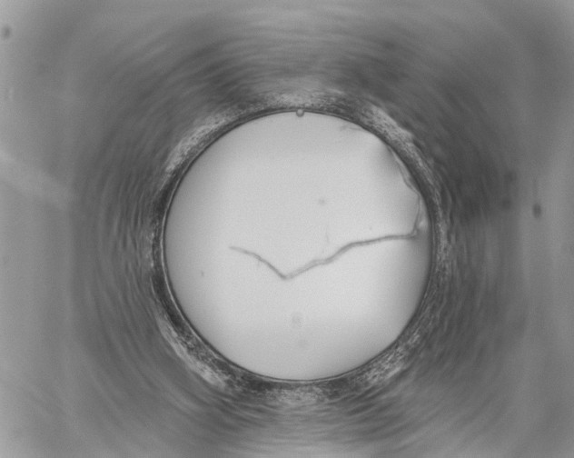 X0000060240106200511181314