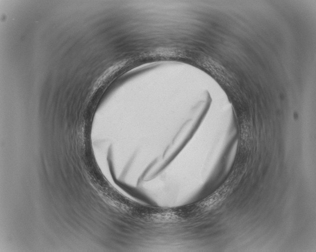 X0000060240112200511181313