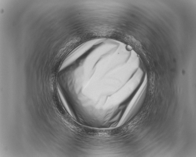 X0000060240114200511181313