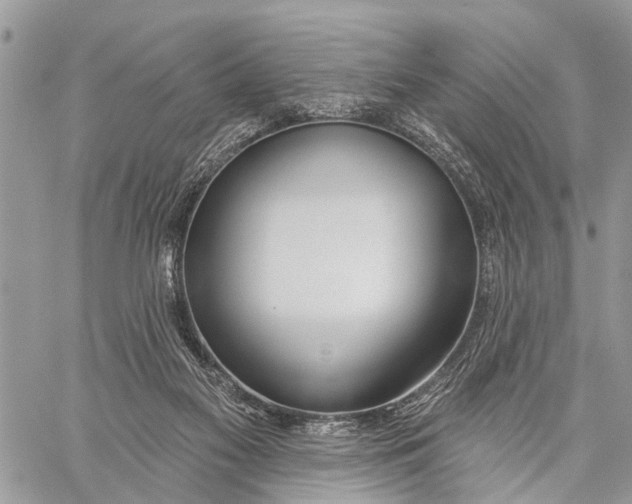 X0000060240117200511181313