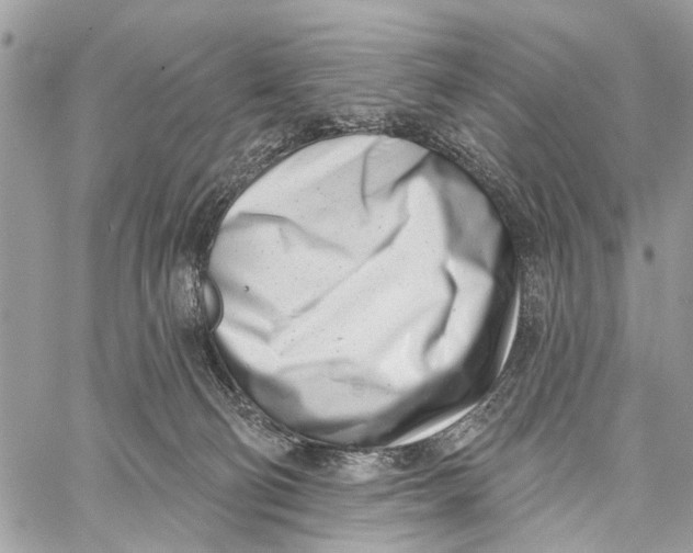 X0000060240130200511181313