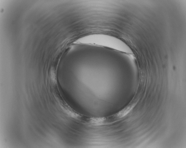 X0000060240143200511181313