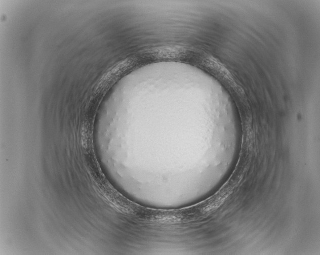 X0000060240161200511181312