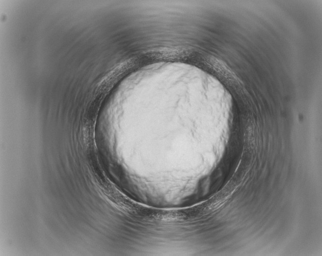 X0000060240165200511181312