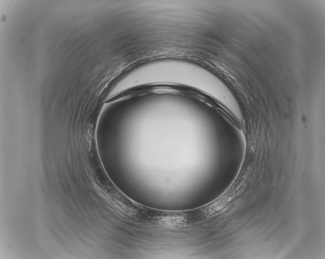 X0000060240168200511181312