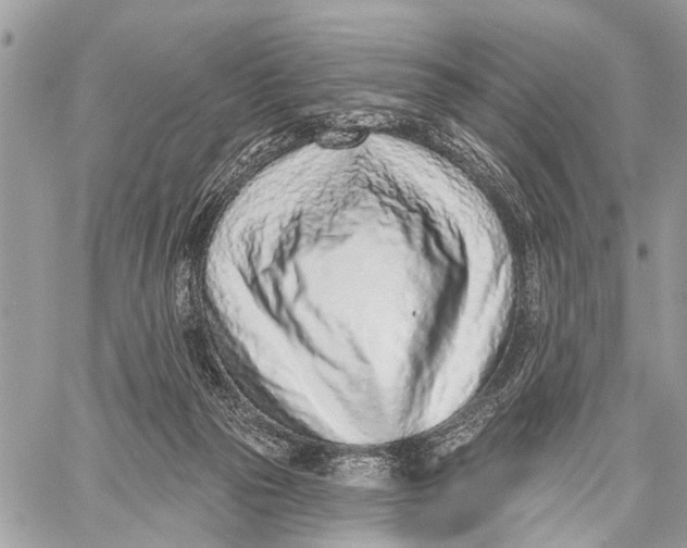 X0000060240169200511181312
