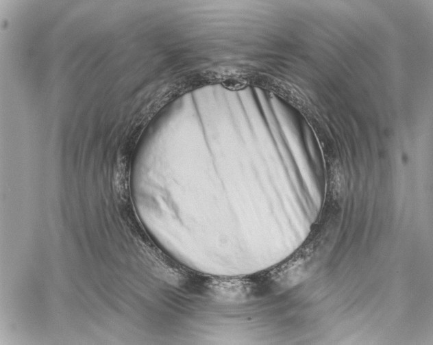X0000060240181200511181313
