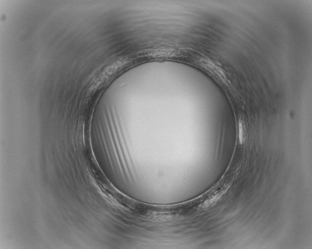 X0000060240205200511181312