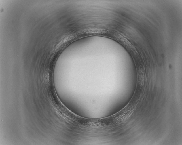 X0000060240207200511181312
