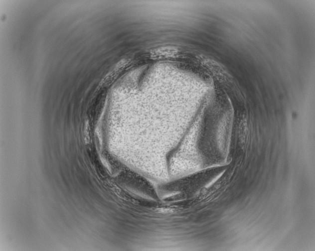 X0000060240224200511181312