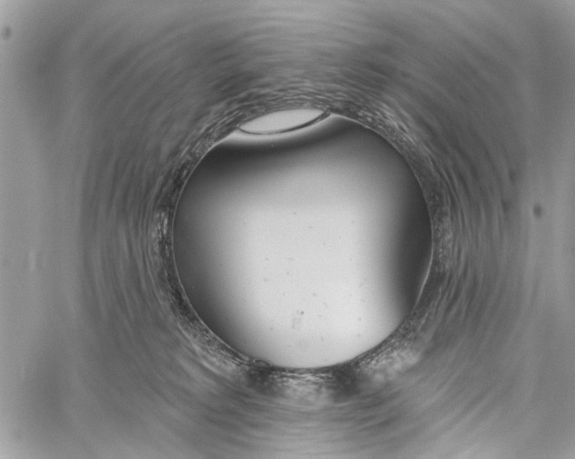 X0000060240229200511181311