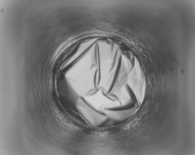 X0000060240247200511181311