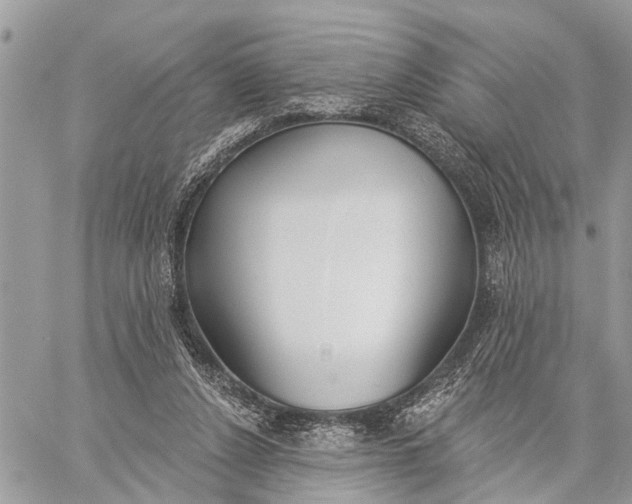 X0000060240256200511181311