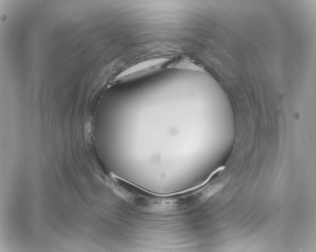 X0000060240288200511181311