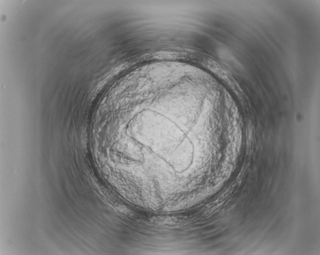 X0000060240297200511181310