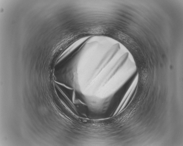 X0000060240303200511181310