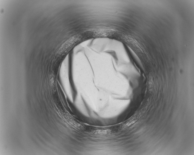 X0000060240314200511181310