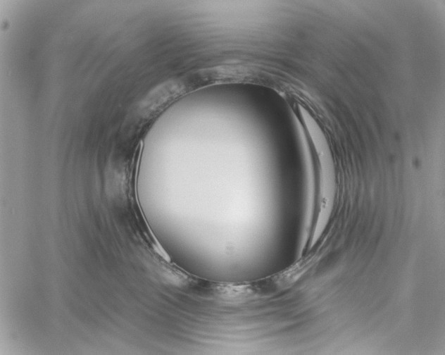 X0000060240333200511181310