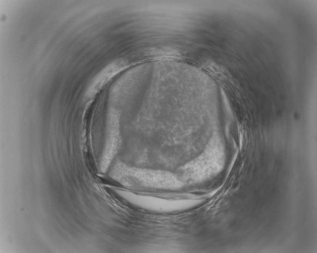 X0000060240339200511181309