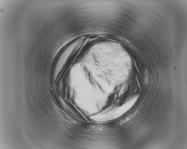 X0000060240351200511181309
