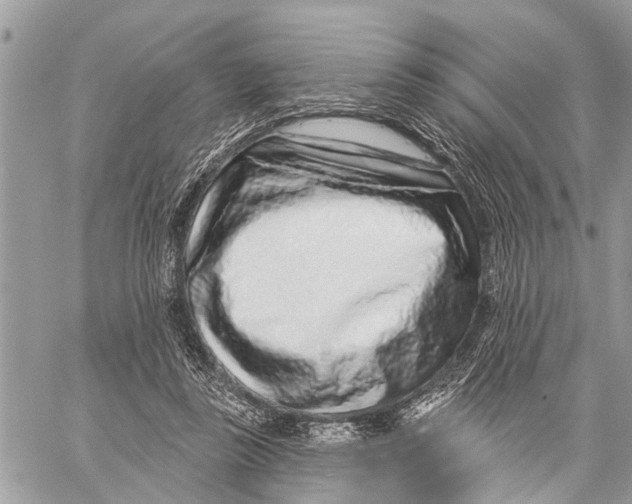 X0000060240355200511181309