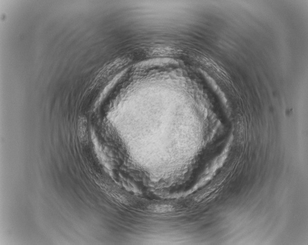 X0000060240361200511181309