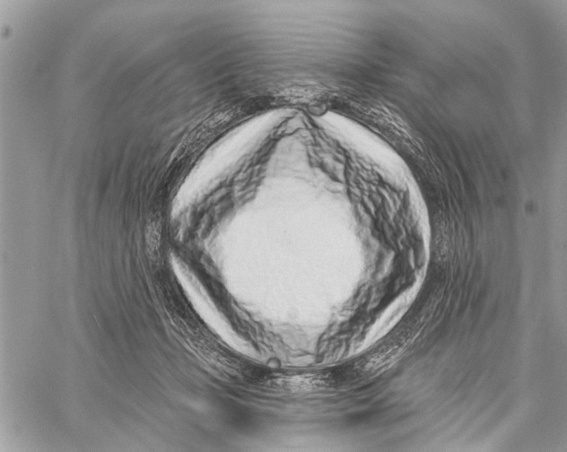 X0000060240365200511181309