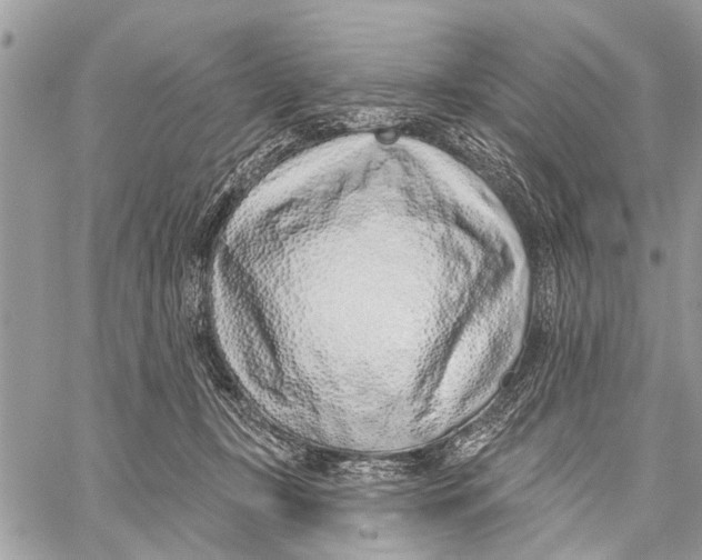 X0000060240367200511181309