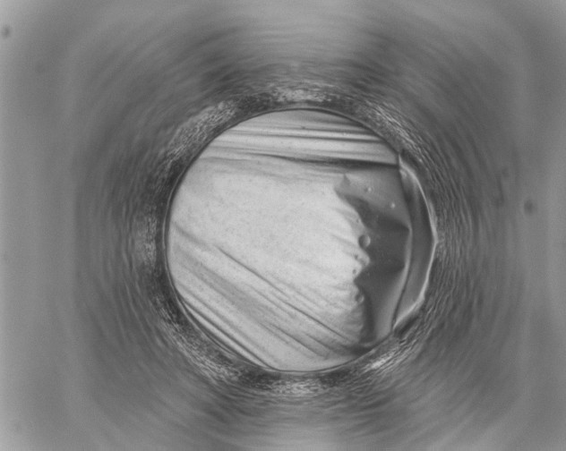 X0000060240402200511181309