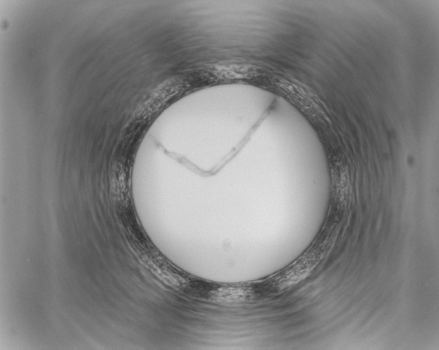 X0000060240418200511181308