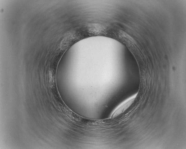 X0000060240420200511181308