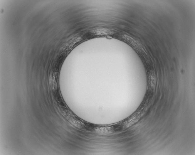 X0000060240422200511181308