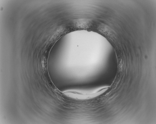 X0000060240424200511181308