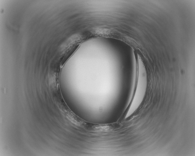 X0000060240428200511181308