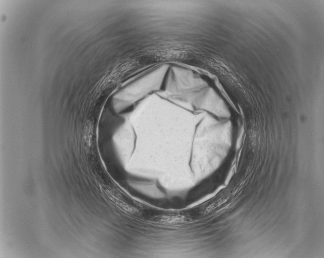 X0000060240458200511181308