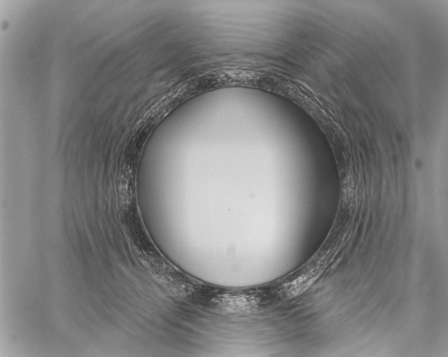 X0000060240464200511181308