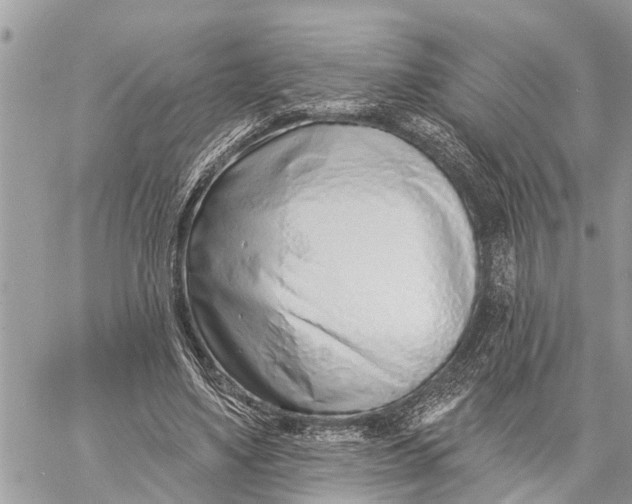 X0000060240491200511181307