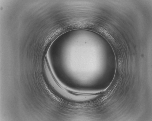 X0000060240493200511181307