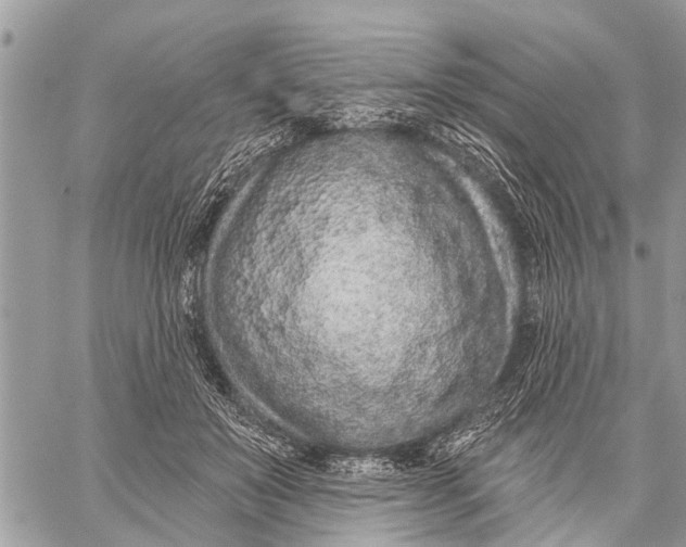 X0000060240503200511181307