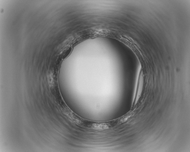 X0000060240520200511181307
