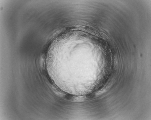 X0000060240527200511181306