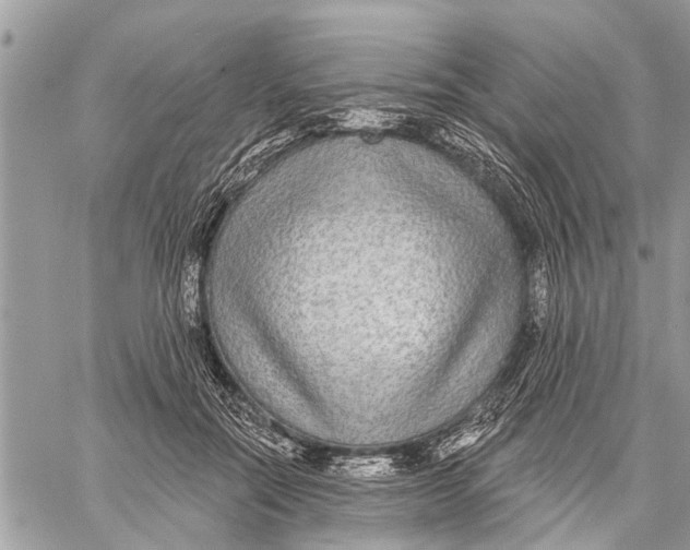 X0000060240554200511181306